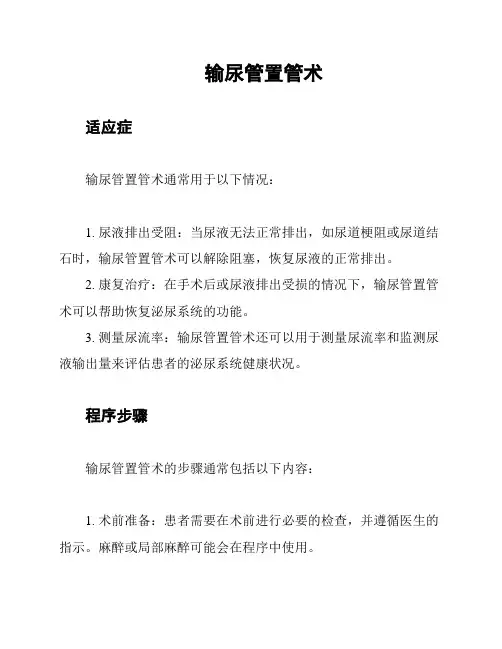 输尿管置管术