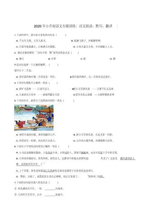 【部编版】2020年小升初语文专题训练：诗文朗读、默写、翻译、文学文化、常识(含答案)