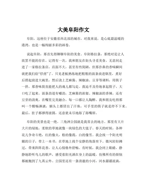 大美阜阳作文