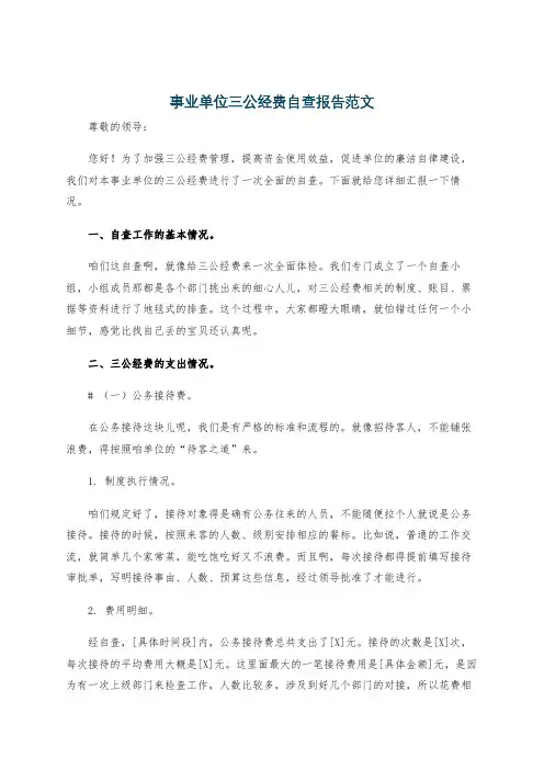 事业单位三公经费自查报告范文
