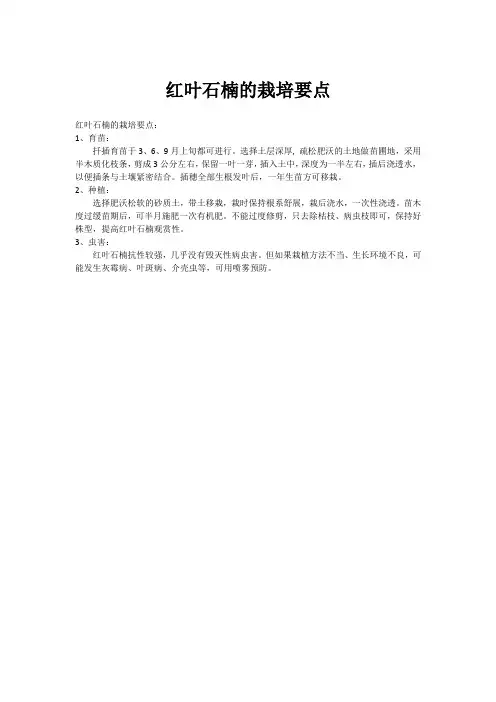 红叶石楠的栽培要点
