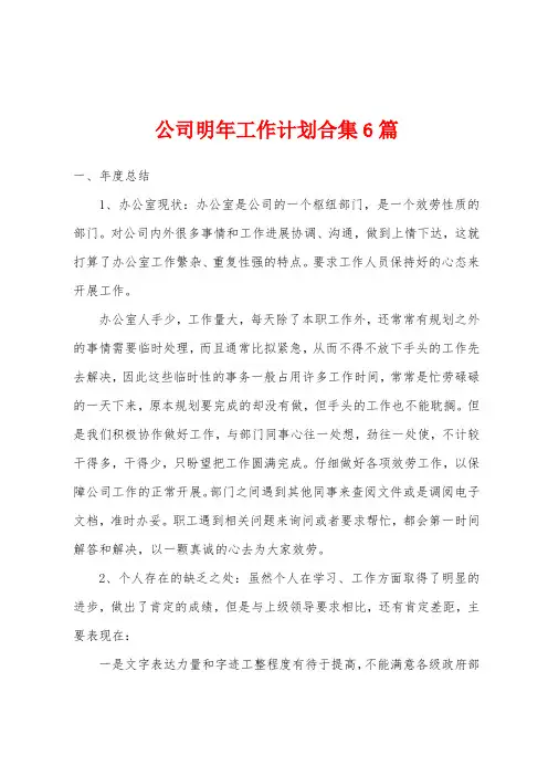 公司明年工作计划6篇