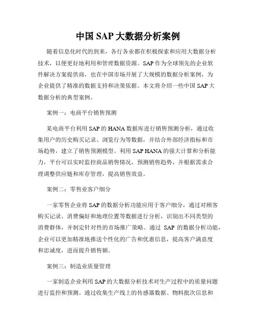 中国SAP大数据分析案例