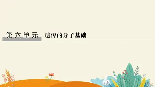 高考生物一轮复习：人类对遗传物质的探索过程课件(精品)