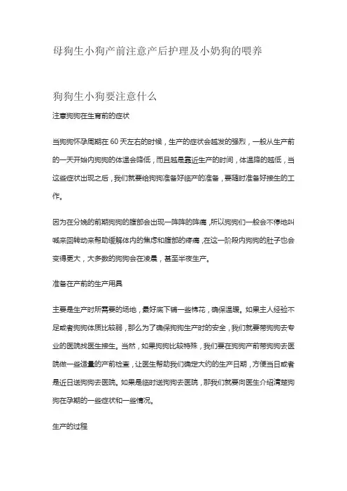 狗狗生小狗要注意什么