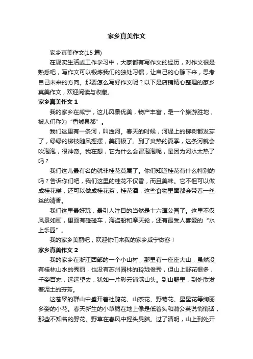 家乡真美作文