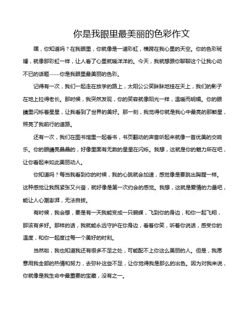 你是我眼里最美丽的色彩作文
