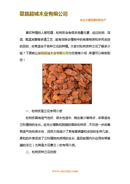 松树皮种兰花