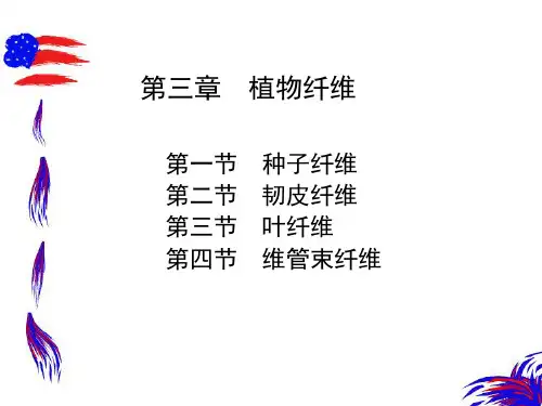 植物纤维资料