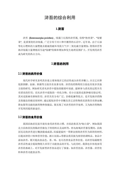 浒苔的综合利用