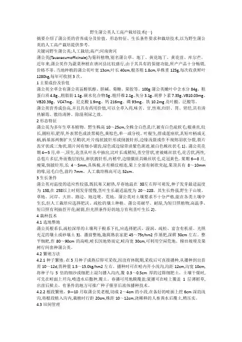 野生蒲公英人工高产栽培技术(一)