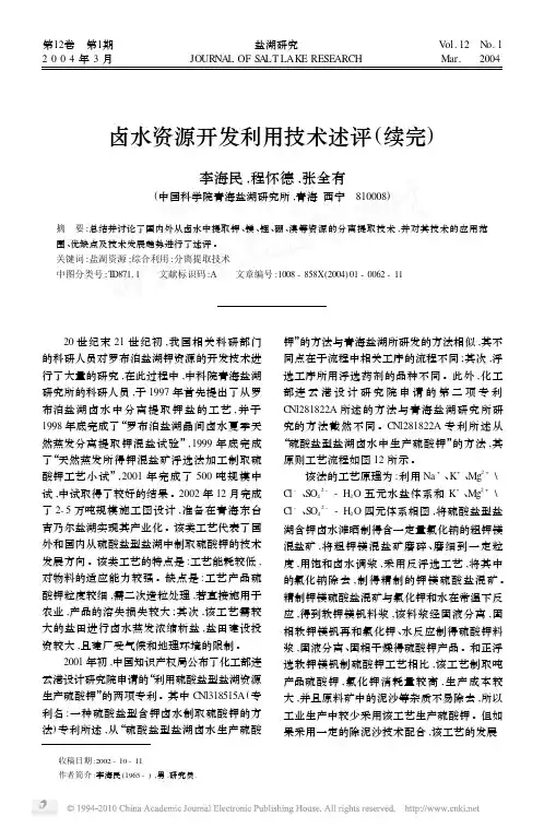 卤水资源开发利用技术述评_续完_