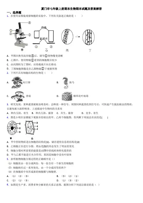 厦门市七年级上册期末生物期末试题及答案解答