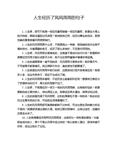 人生经历了风风雨雨的句子