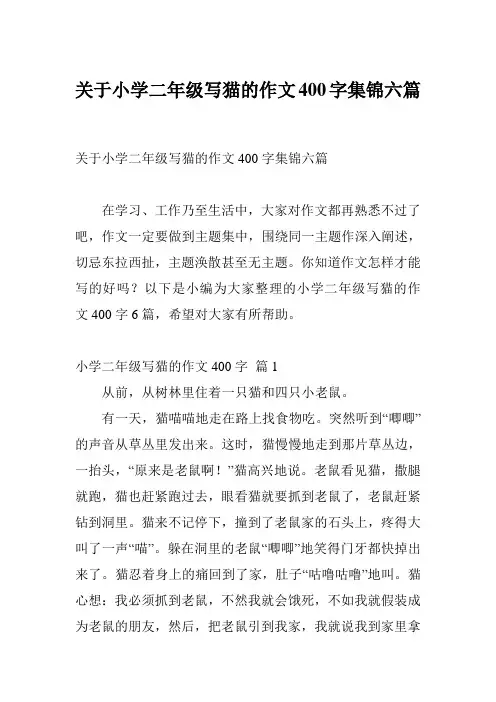 关于小学二年级写猫的作文400字集锦六篇