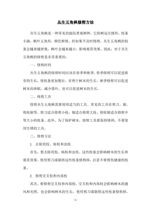 丛生五角枫修剪方法