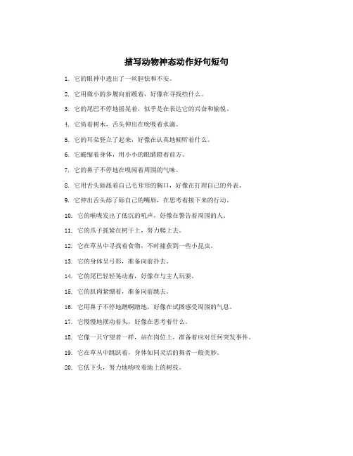 描写动物神态动作好句短句