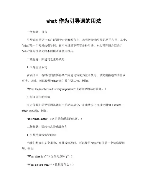 what作为引导词的用法