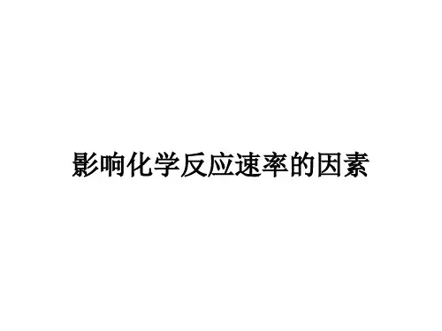 影响化学反应速率的因素课件 
