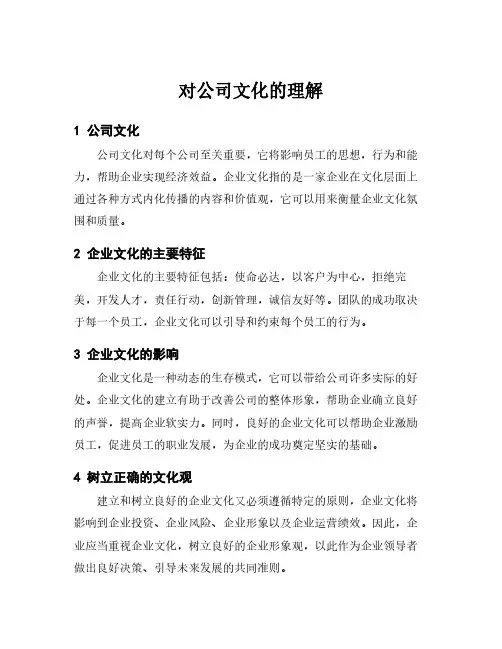 对公司文化的理解