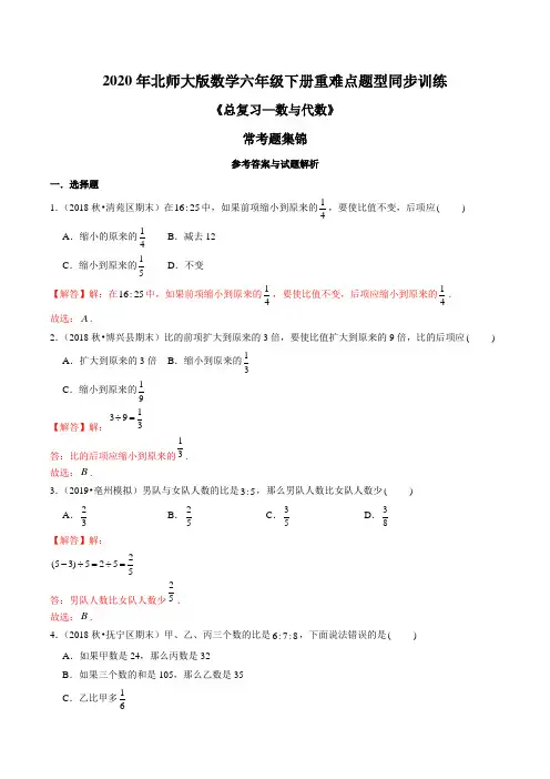2021年北师大版数学六年级下册《总复习—数与代数》常考题集锦(解析版)