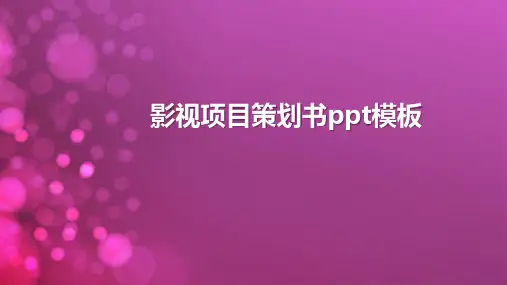 影视项目策划书ppt模板