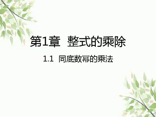 北师大版七年级下册1.1同底数幂的乘法课件