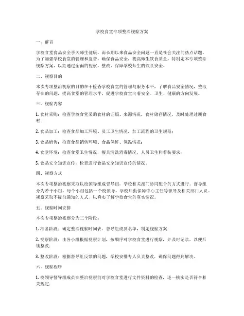 学校食堂专项整治视察方案