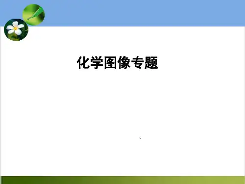 中考化学专题复习：图像专题 13张