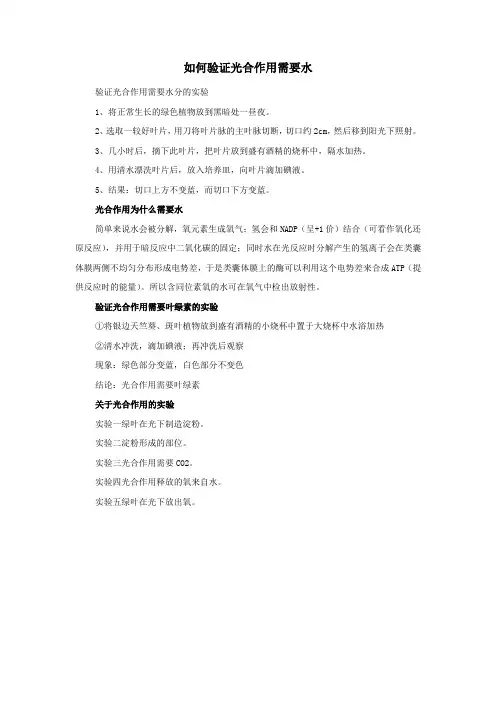如何验证光合作用需要水