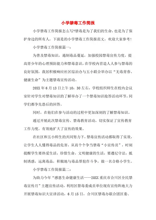 小学禁毒工作简报