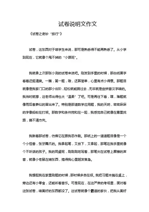 试卷说明文作文