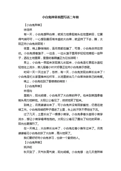 小白兔种菜看图写话二年级