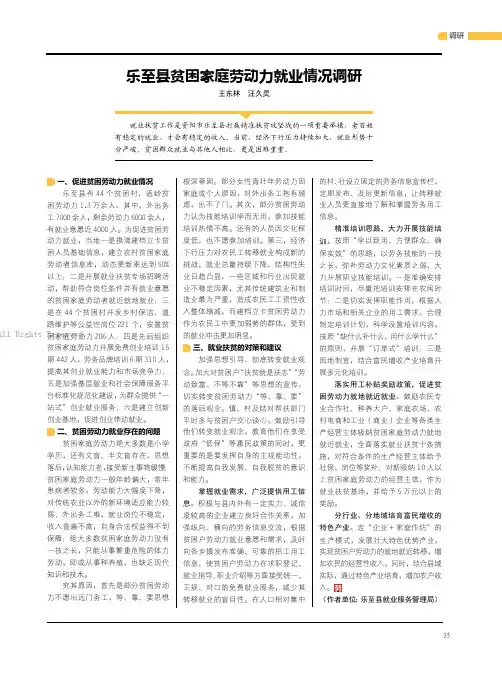 15302389_乐至县贫困家庭劳动力就业情况调研