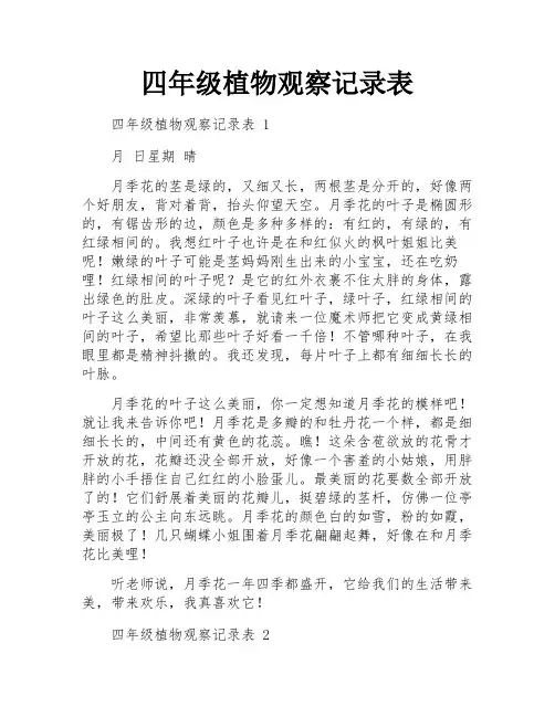 四年级植物观察记录表