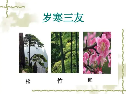 小古文岁寒三友PPT-岁寒三友小古文