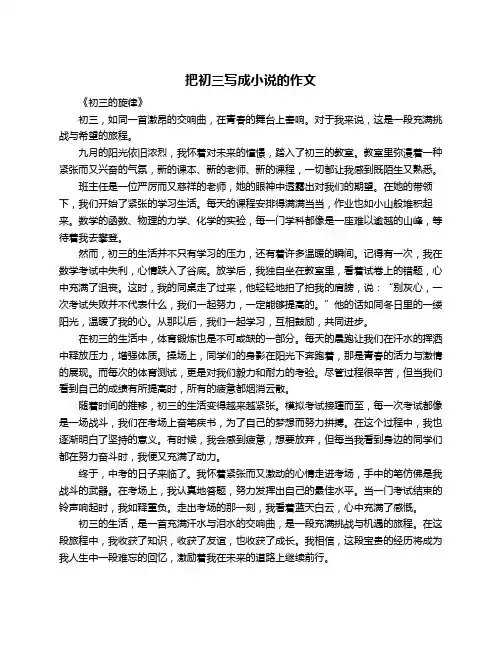 把初三写成小说的作文