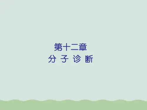 分子诊断策略与常用技术PPT(共23页)