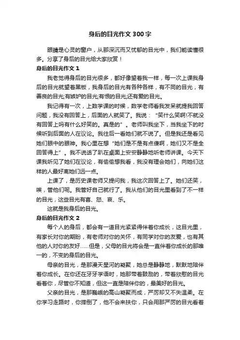 身后的目光作文300字