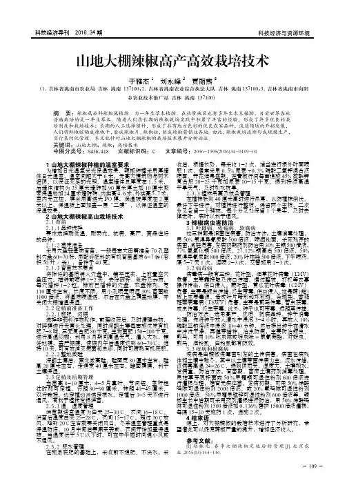 山地大棚辣椒高产高效栽培技术