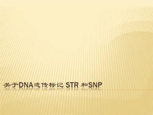 关于遗传标记 str 和snp