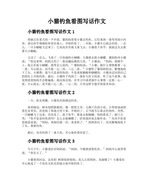 小猫钓鱼看图写话作文
