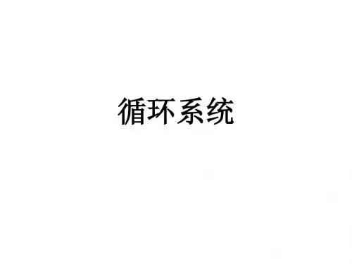 鱼类学课件 5.循环和尿殖系统2