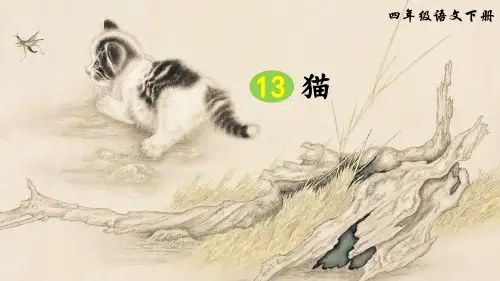 部编版四年级语文下册第13课《猫》精品PPT课件