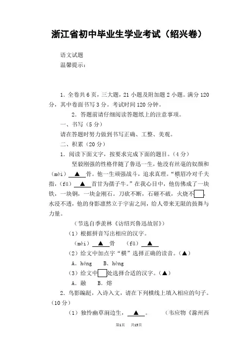 浙江省绍兴市2019年中考语文试题(word版,含答案)