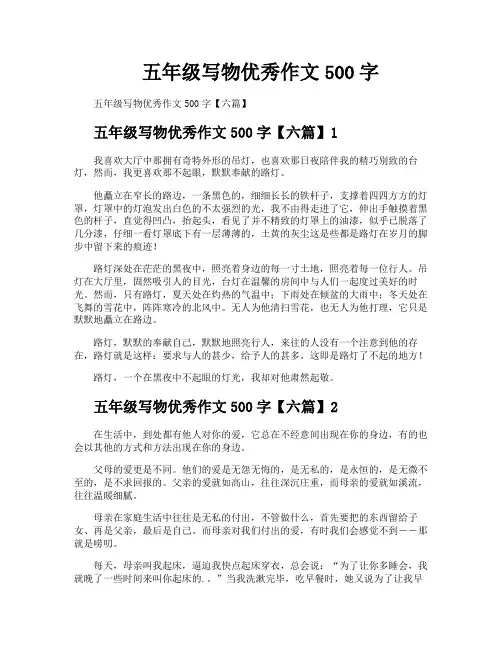 五年级写物优秀作文500字