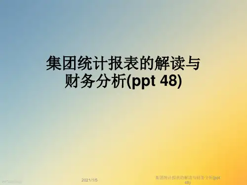 集团统计报表的解读与财务分析(ppt 48)