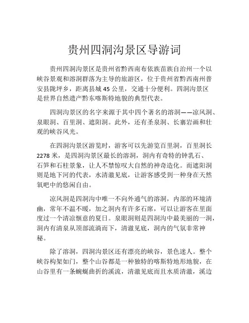 贵州四洞沟景区导游词
