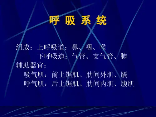 兽医解剖内脏学--呼吸、泌尿和生殖