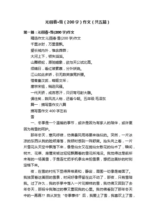 沁园春·雪（200字）作文（共五篇）